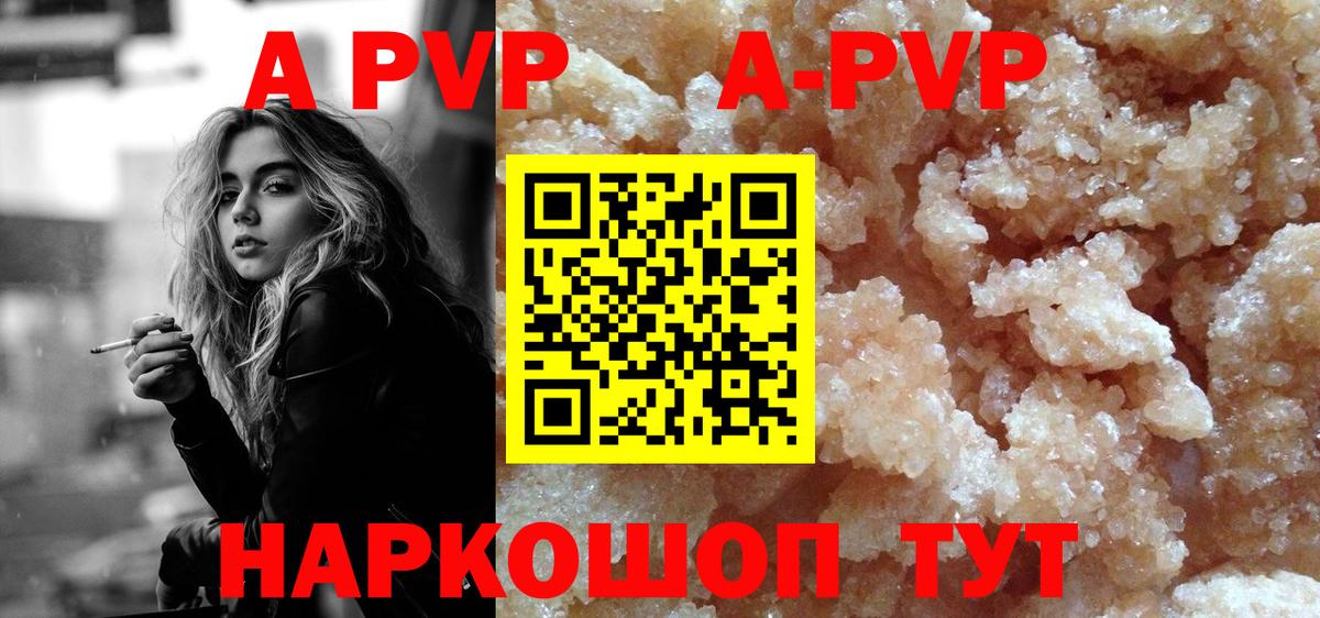 A PVP СК Шебекино