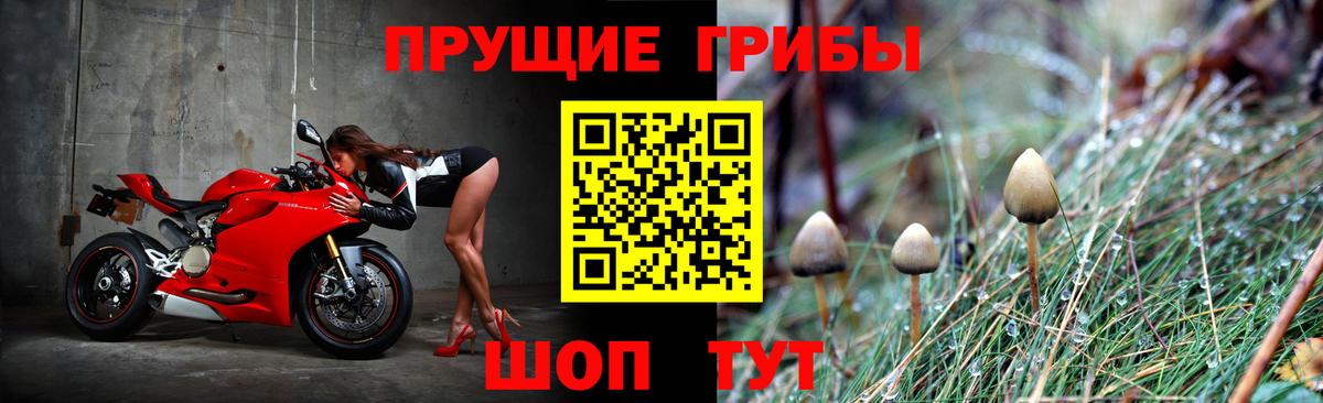 Галлюциногенные грибы Magic Shrooms Шебекино
